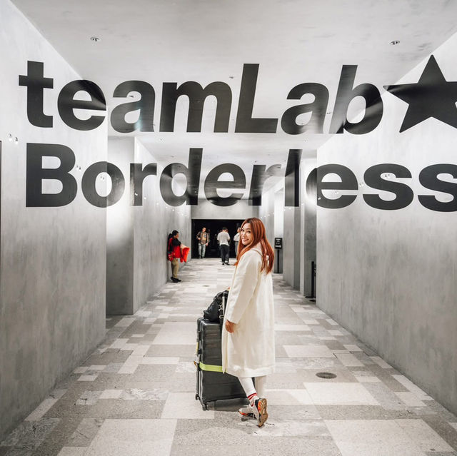 teamLab Borderless: