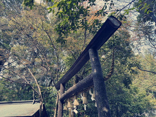 體驗愛與平靜的力量：野宮神社之旅 🌿✨