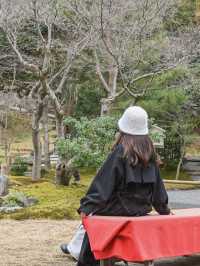 【京都/高台寺】竹林の穴場スポット！！