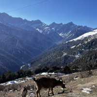 Siguniangshan mountain Trip on 13 Jan 2025 