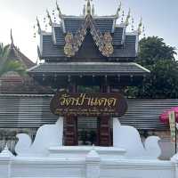 พามูวัดป่าแดด 🙏🏻
