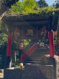 Xitou Monster Village: A Whimsical Escape into a Monster-Themed Wonderland