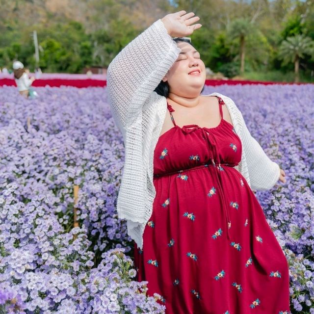 ฮอกไกโด Flower Park เขาใหญ่