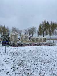 🥰☃️白雪浪漫～昆明滇池必去海埂公園🕊️🌊