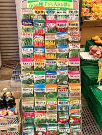 偷窺日本商店街+超市物價！
