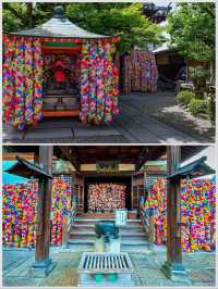 【京都】カラフルで可愛い！フォトジェニックすぎるお寺