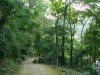 Mae Ya Waterfall น้ำตกแม่ยะ เชียงใหม่