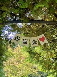아름다운 자연 속 데이트