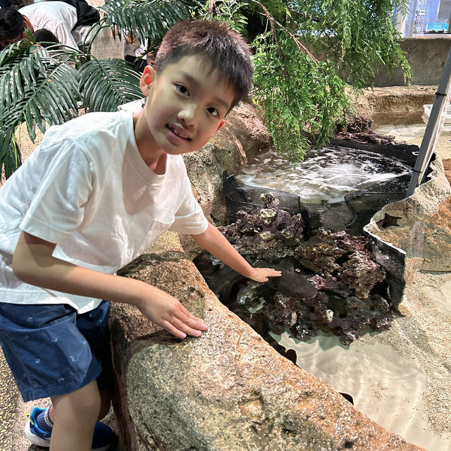【 超夢幻非一般的海洋體驗 | DMM水族館 】