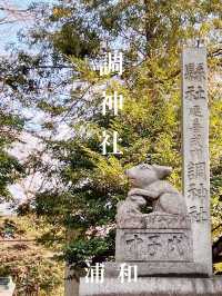 【埼玉浦和】ウサギがお出迎えしてくれる調神社✨