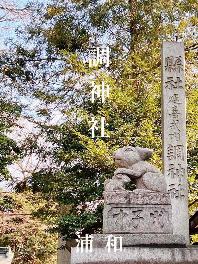 【埼玉浦和】ウサギがお出迎えしてくれる調神社✨