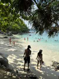 Paradise Beach - พาราไดซ์บีช ป่าตองภูเก็ต