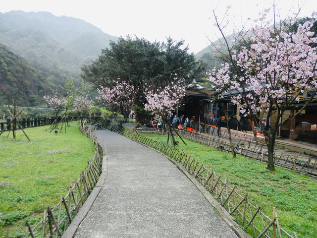 A Zen Escape to Jinguashi’s Japanese Legacy