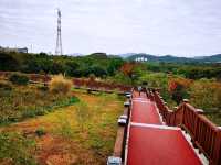 陌上花園浪漫花海