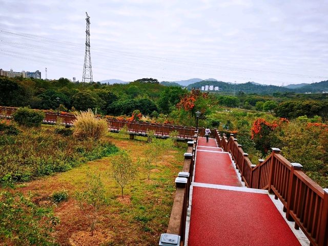 陌上花園浪漫花海