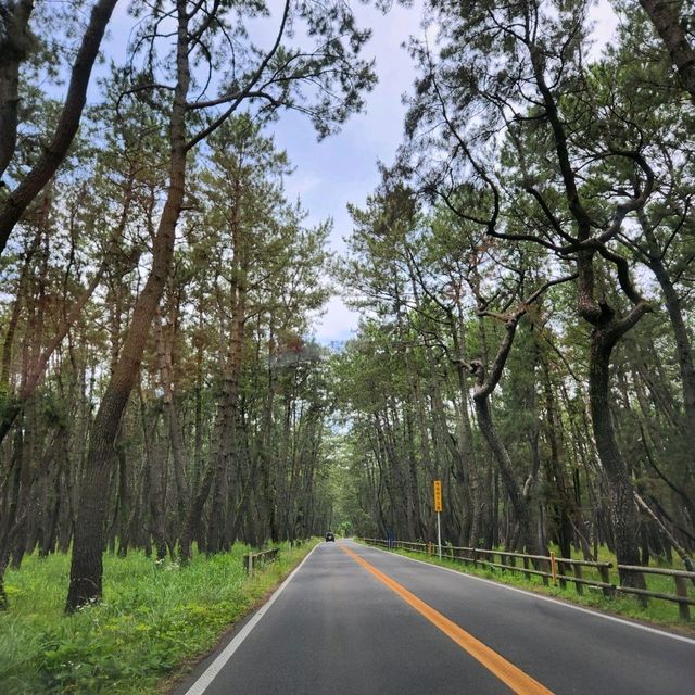 후쿠오카 렌트카 여행 🚙☁️