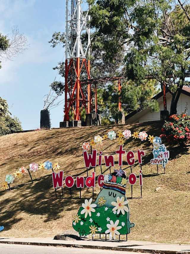 สีสันดอยตุง ครั้งที่ 11 (WinterWonderDoi) เชียงราย