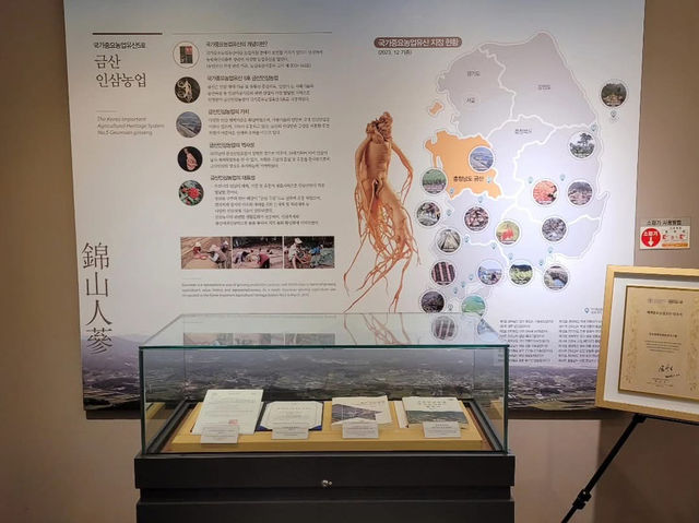 충청남도 금산군 인삼관 입니다.