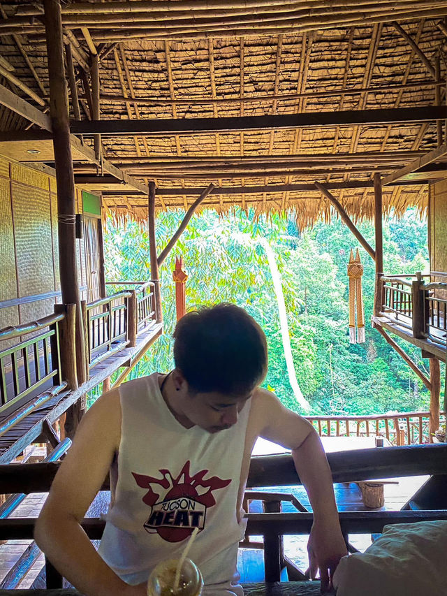 บ้านต้นไม้ แม่แมะ เชียงดาว