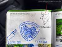 น้ำตกคลองน้ำไหล