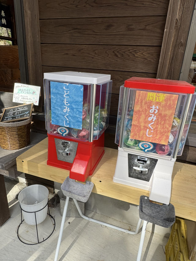 【熊本観光】切り絵の御朱印が可愛い🐇見晴らしのいい神社⛩