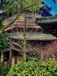 憶江南·最憶杭州