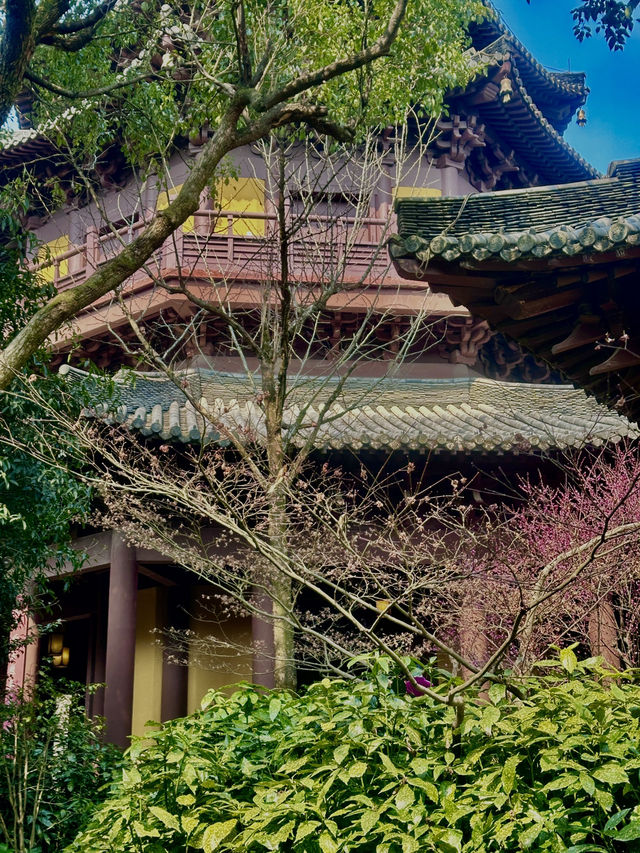 憶江南·最憶杭州