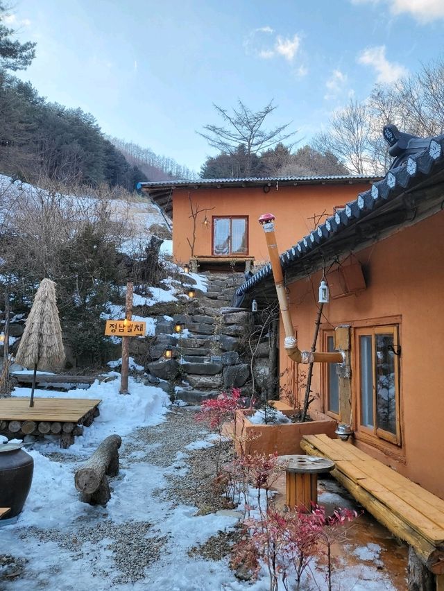지금가면 딱인 겨울마무리 태백 당일치기여행