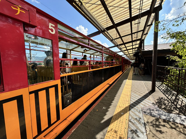 【京都：トロッコ列車】トロッコ列車で保津峡を渡る四季の風物詩🎐