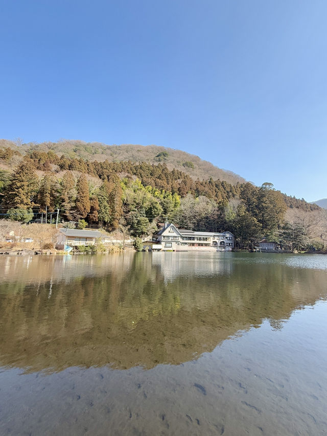 📍大分 - 金鱗湖