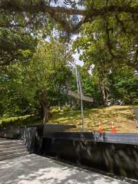 林木茂密古樹參天打卡的Albert Park