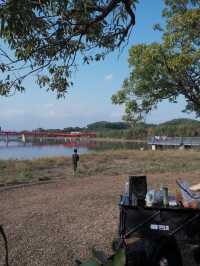 深圳免費公園｜光明虹橋超出片