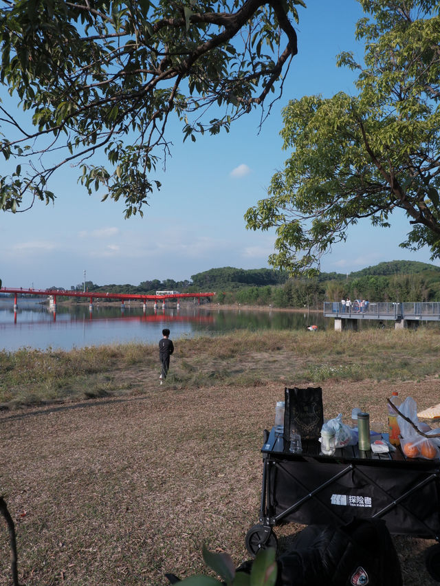 深圳免費公園｜光明虹橋超出片