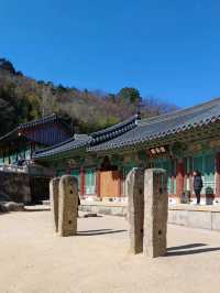 고즈넉한 산사 길, 걷기 좋은 사찰🌿🚶‍♂️