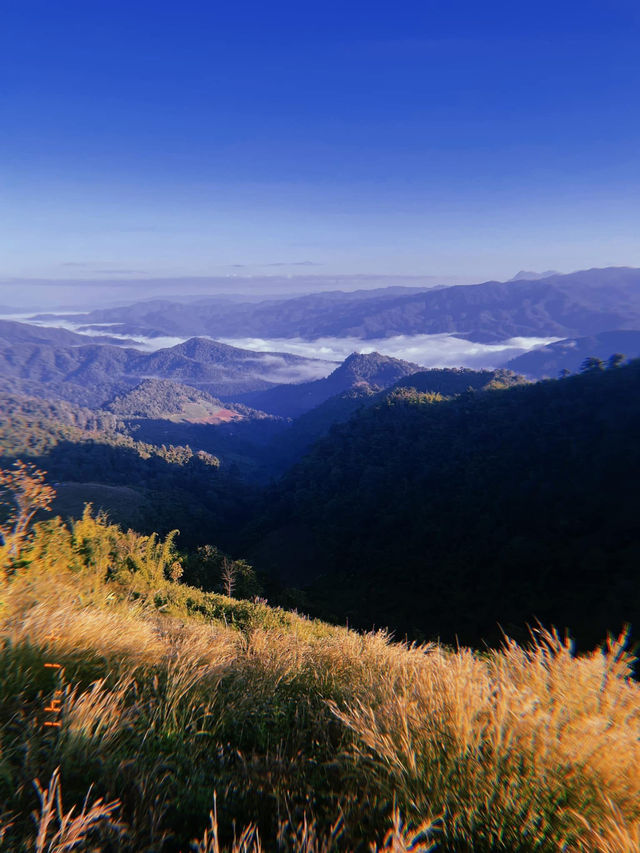 ดอยม่อนเงาะ