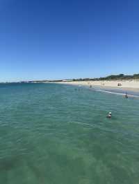 Stunning Coogee Beach 🏝️ 