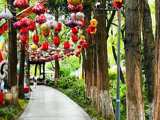 A Haven of Peace: Chengdu Renmin Park