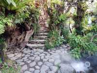 The lush landscapes and stunning rice terraces