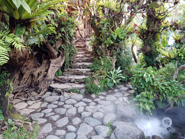 The lush landscapes and stunning rice terraces