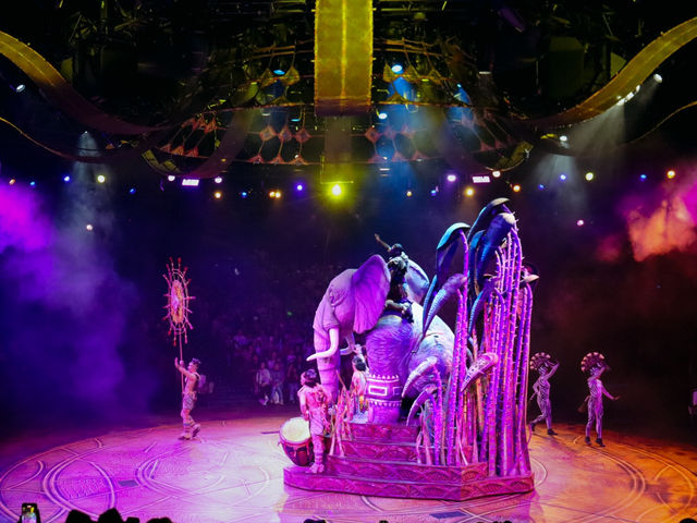 🦁🎶 Festival of the Lion King