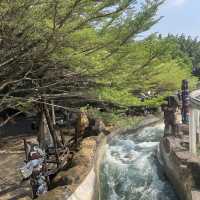 สวนสนุกดรีมเวิลด์ (Dream World) สวนสนุกกลางแจ้ง