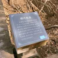 太原有名観光スポット！双塔寺