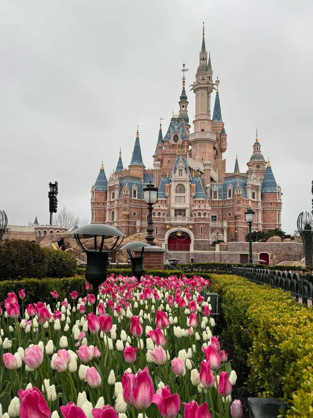 Shanghai Disneyland อัปเดตปี 2025!