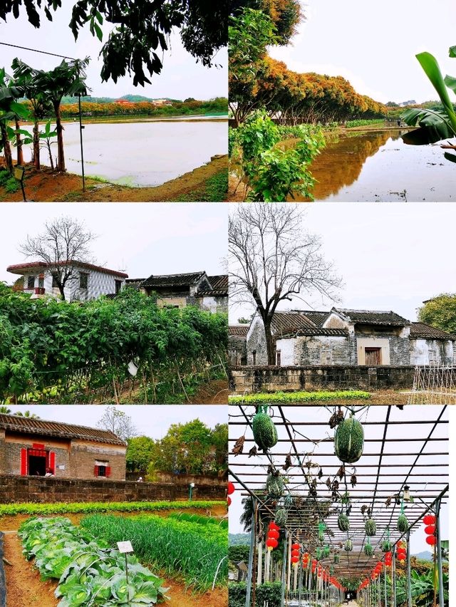 打卡5A景區•孫中山故居