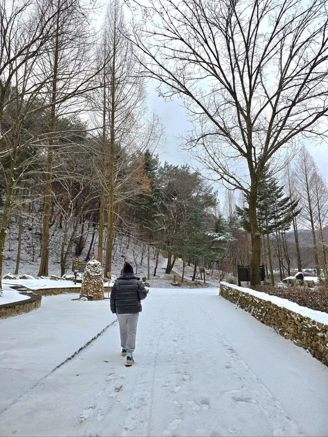 대전에 눈이 내리면 여기 가세요🤍