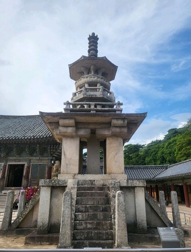 봄맞이 경주 여행지 추천
