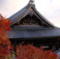 Kyoto - Eikando đừng nên bỏ qua