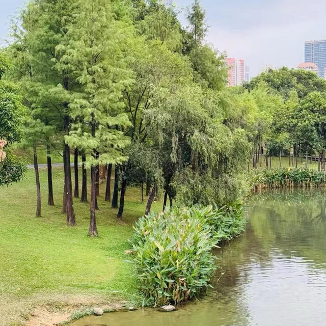 白蓮洞公園～城市綠洲