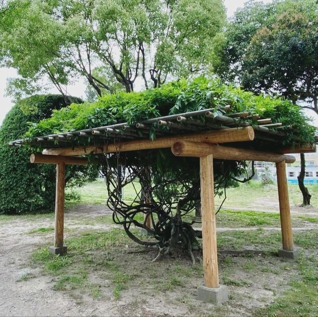 見どころがたくさんアートな公園