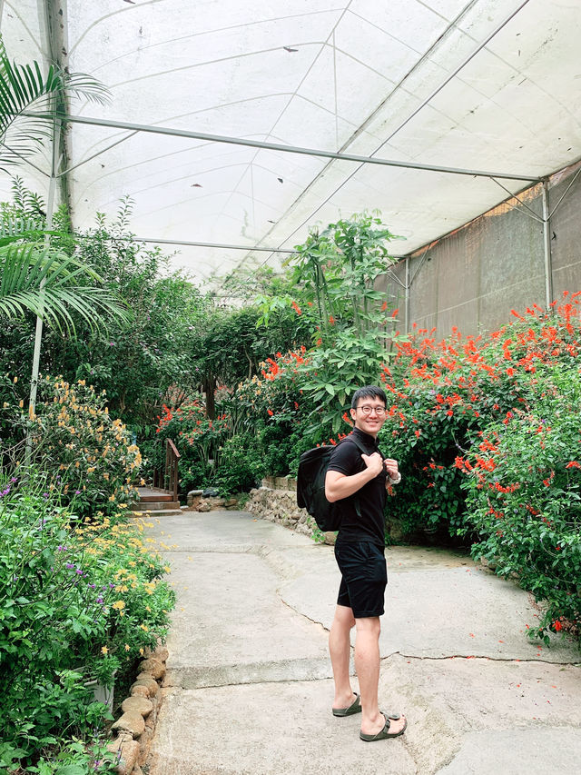 “Flutter into Spring: A Colourful Farm”